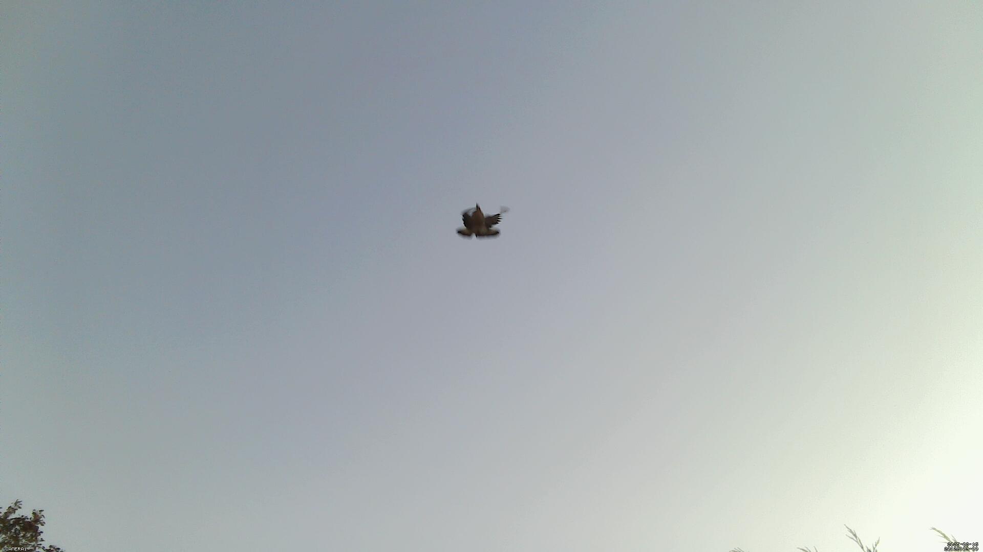 Sky photo 307