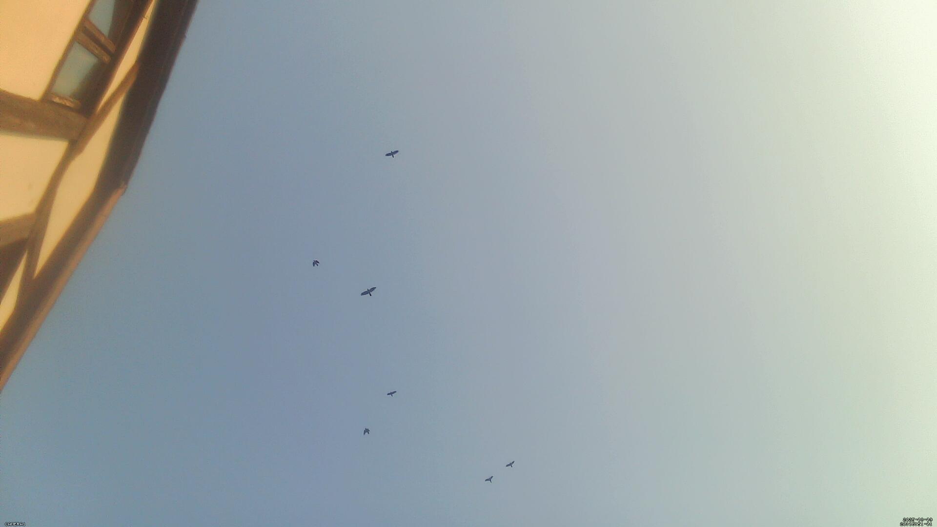 Sky photo 306