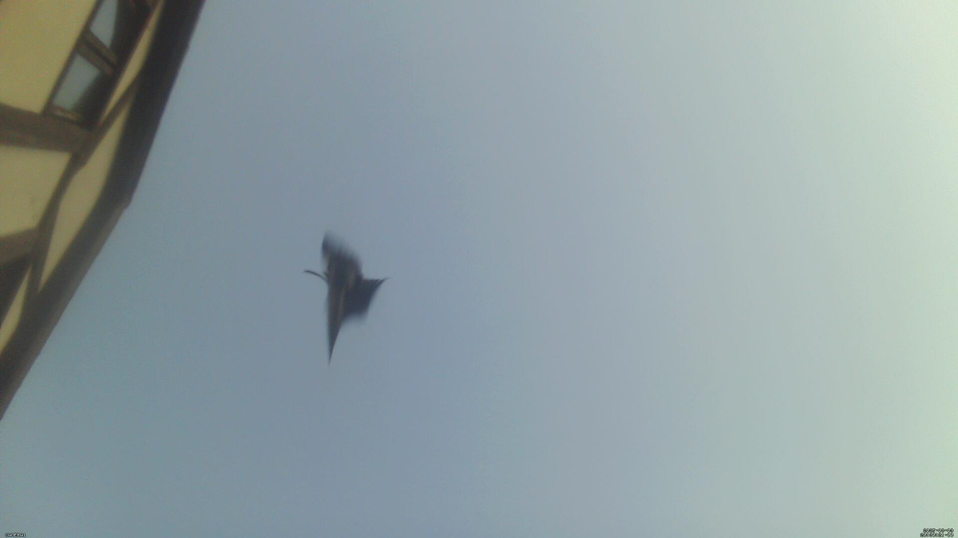 Sky photo 305