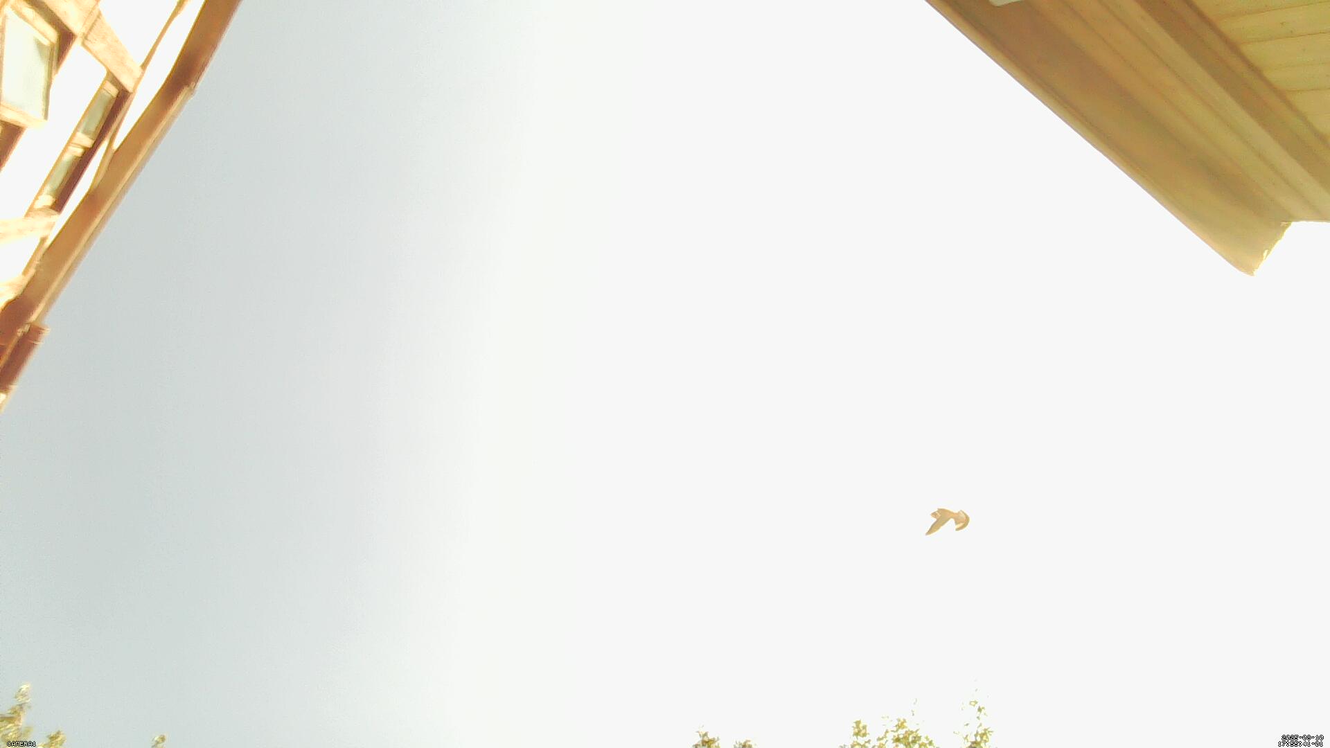 Sky photo 304
