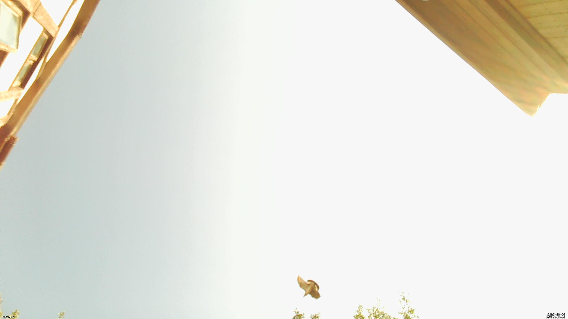 Sky photo 298