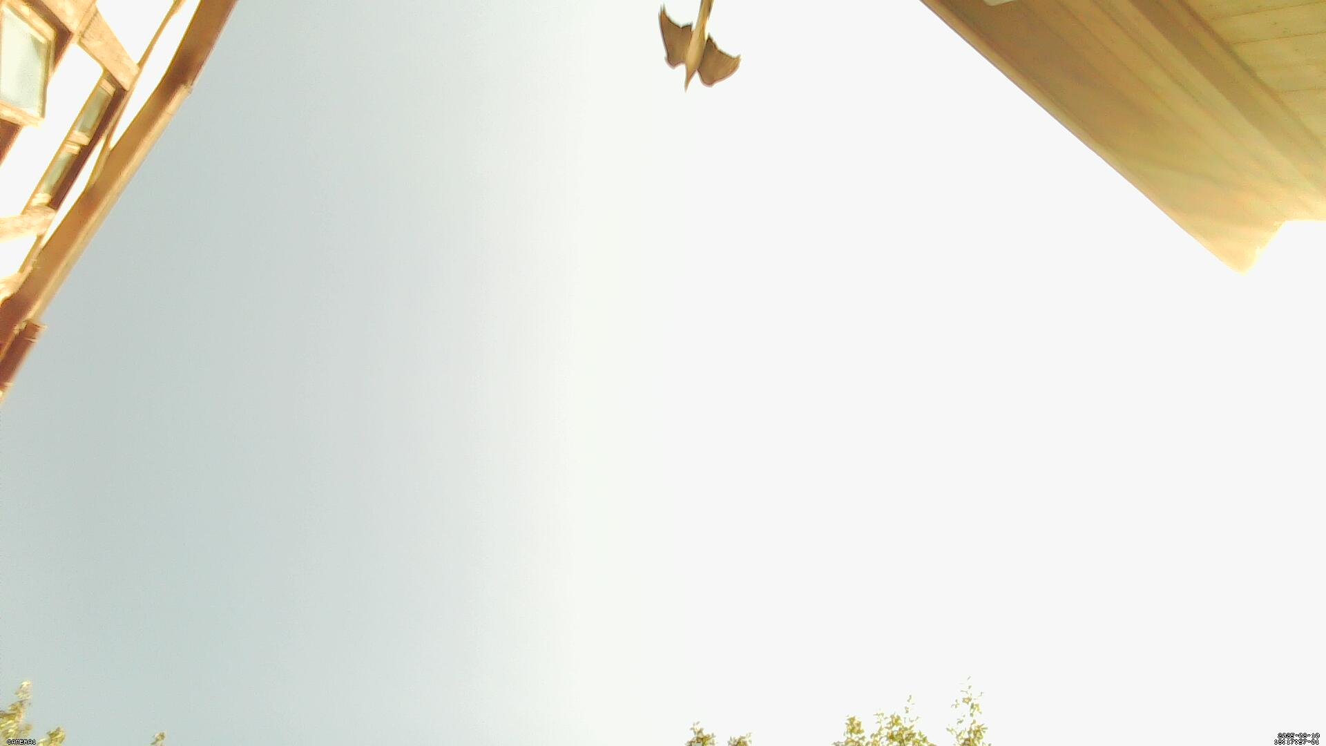 Sky photo 294