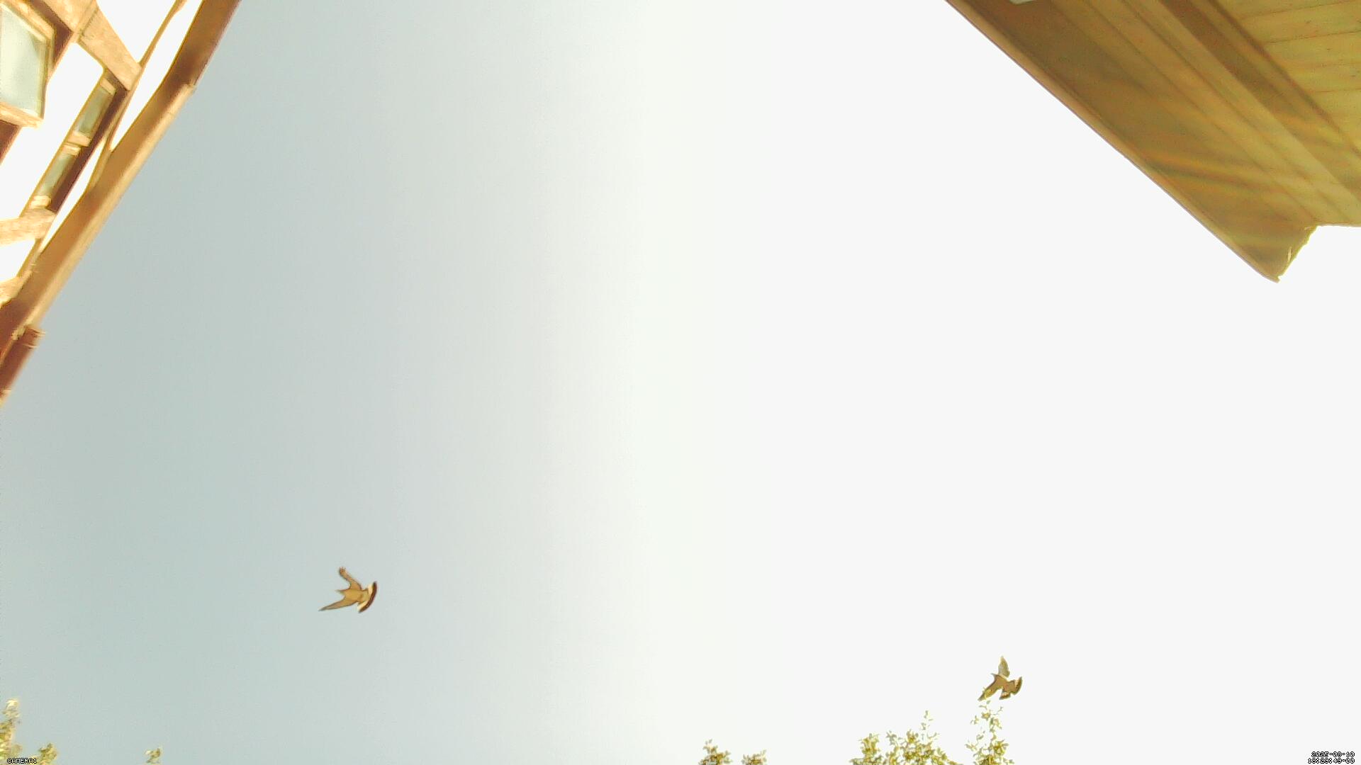 Sky photo 293