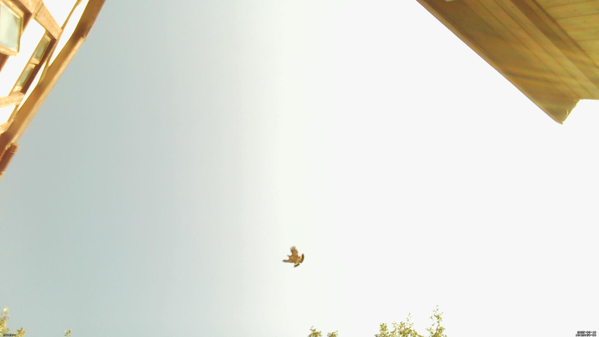Sky photo 292