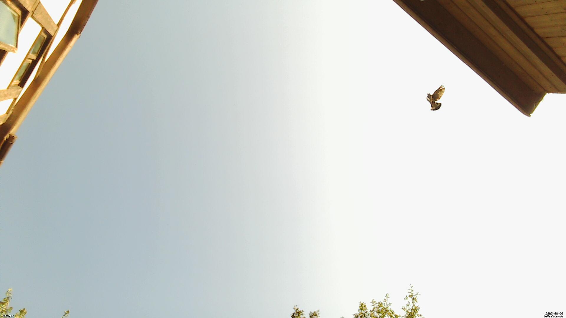 Sky photo 286