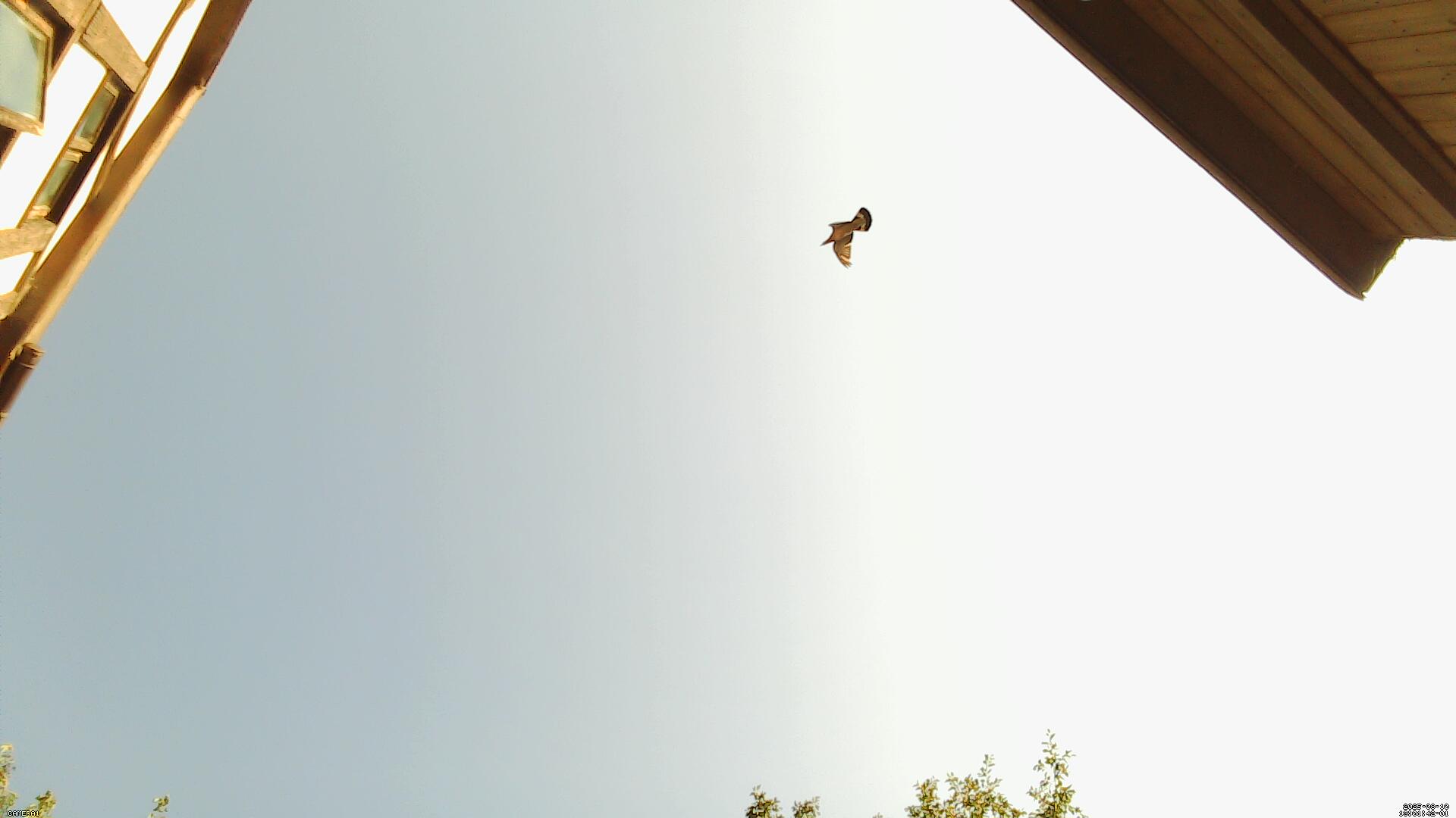 Sky photo 278