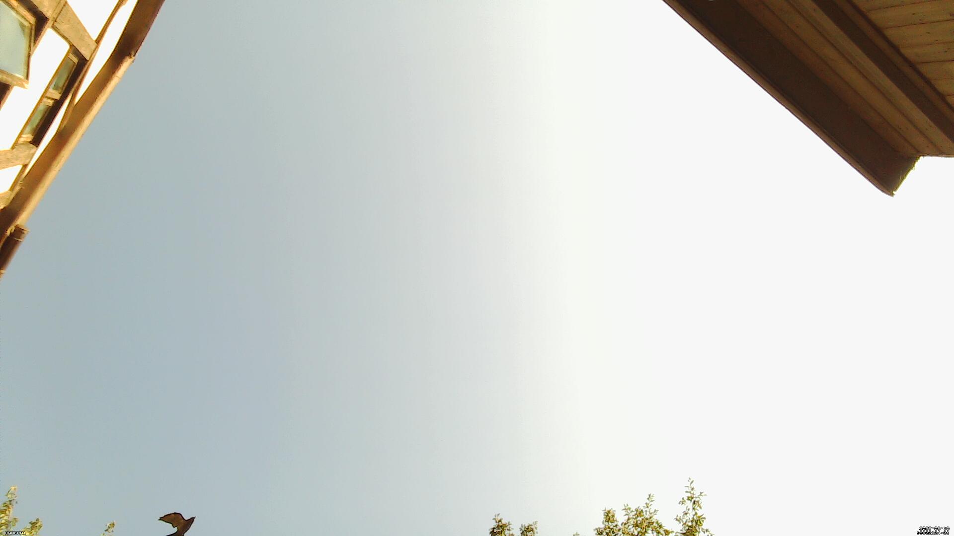 Sky photo 274