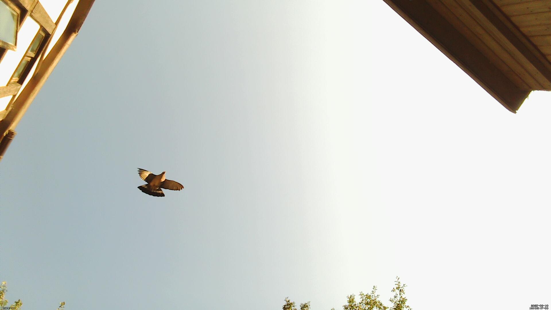 Sky photo 272