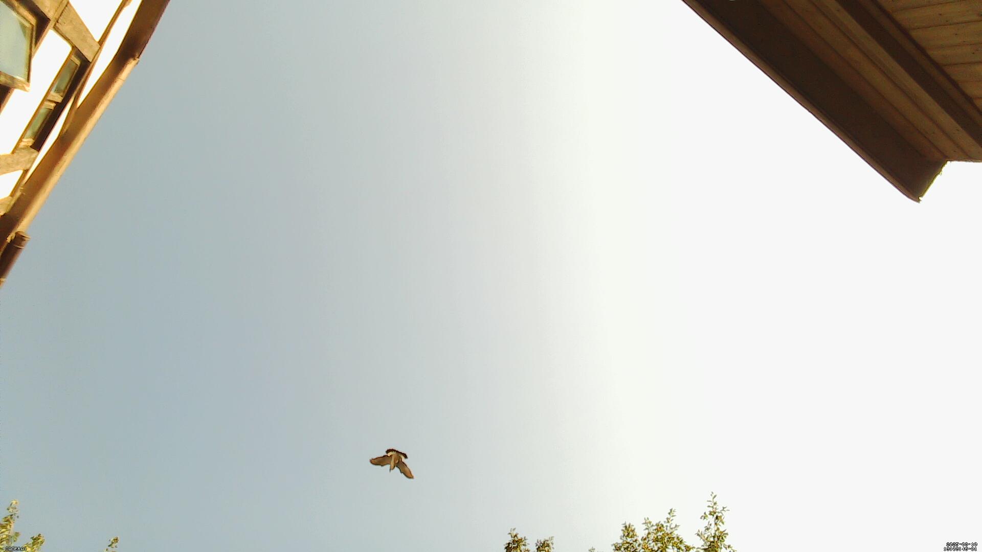Sky photo 268