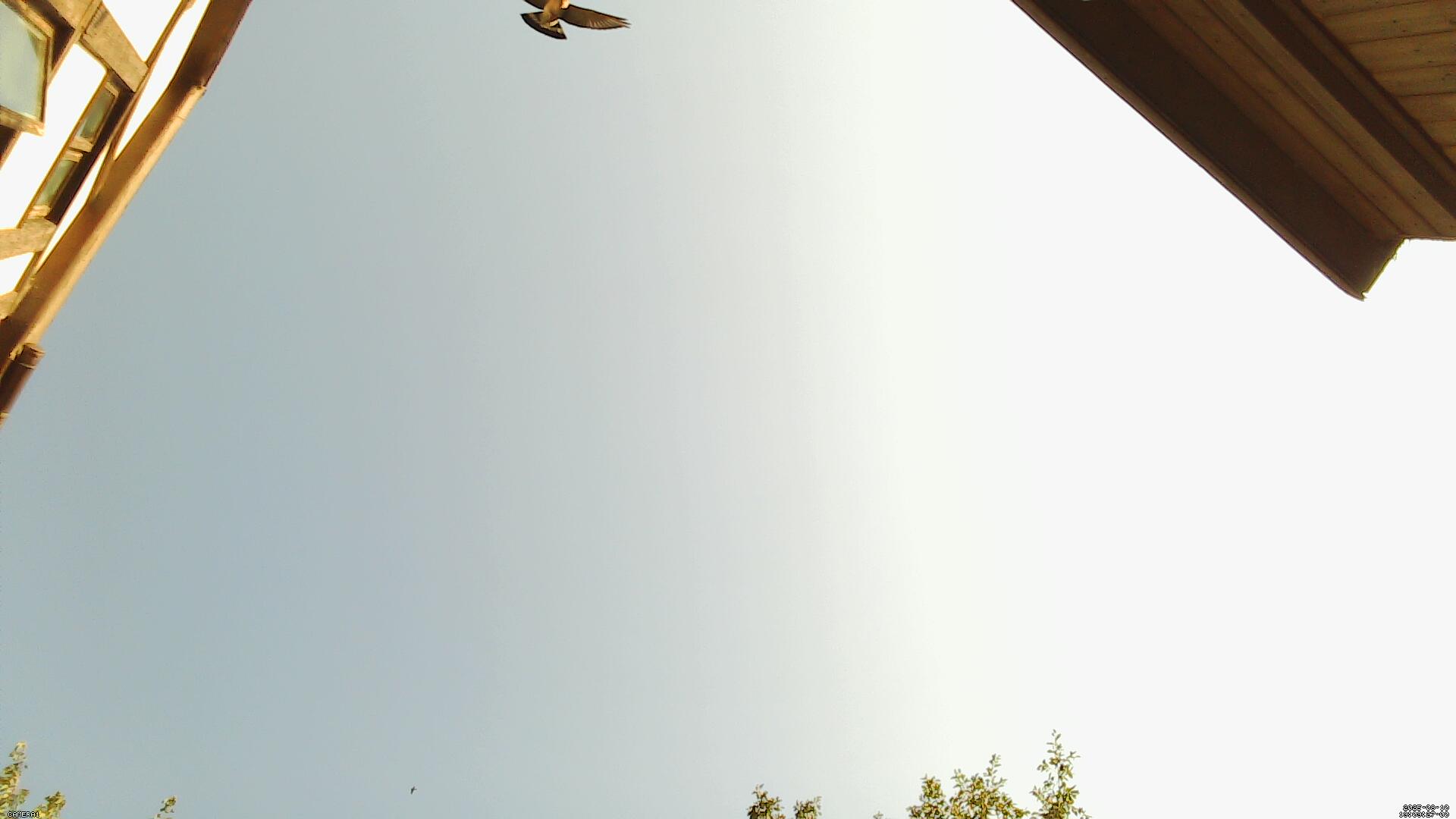 Sky photo 264