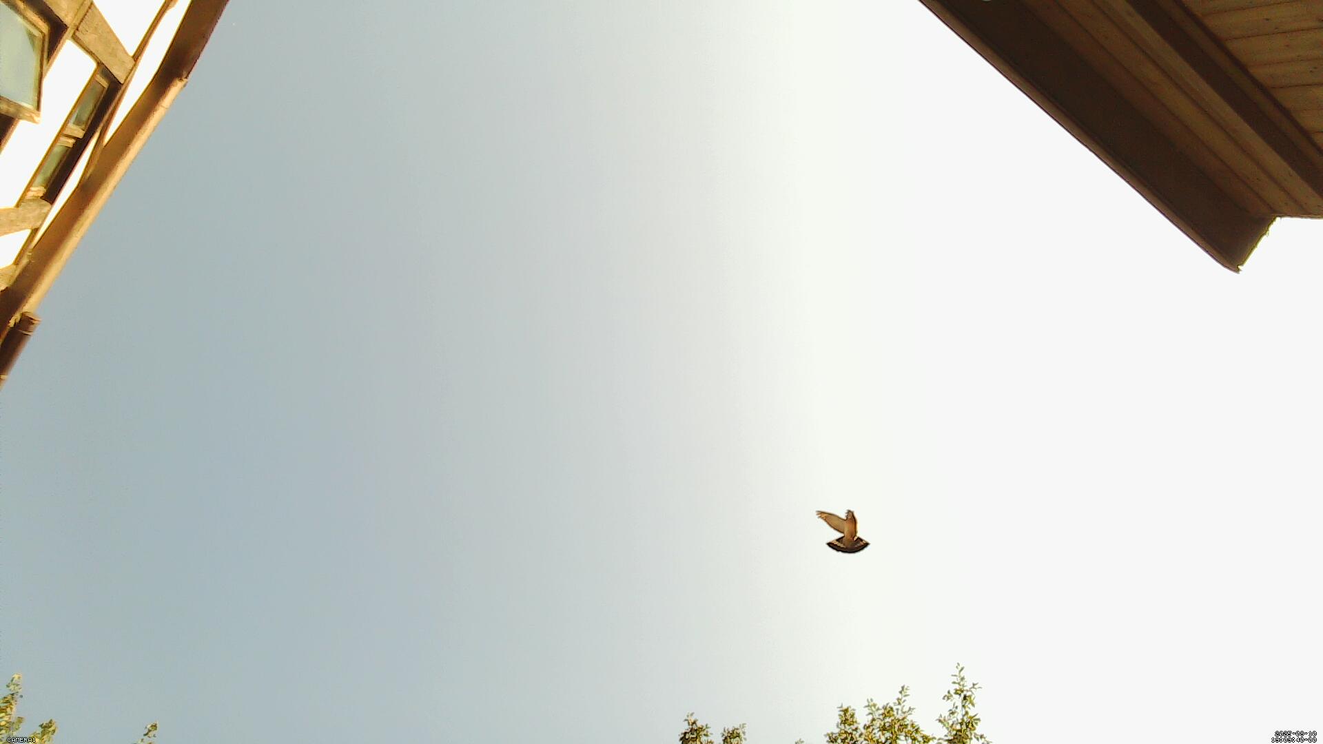 Sky photo 259