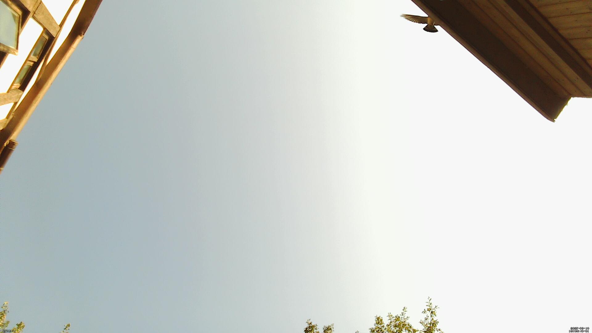 Sky photo 258