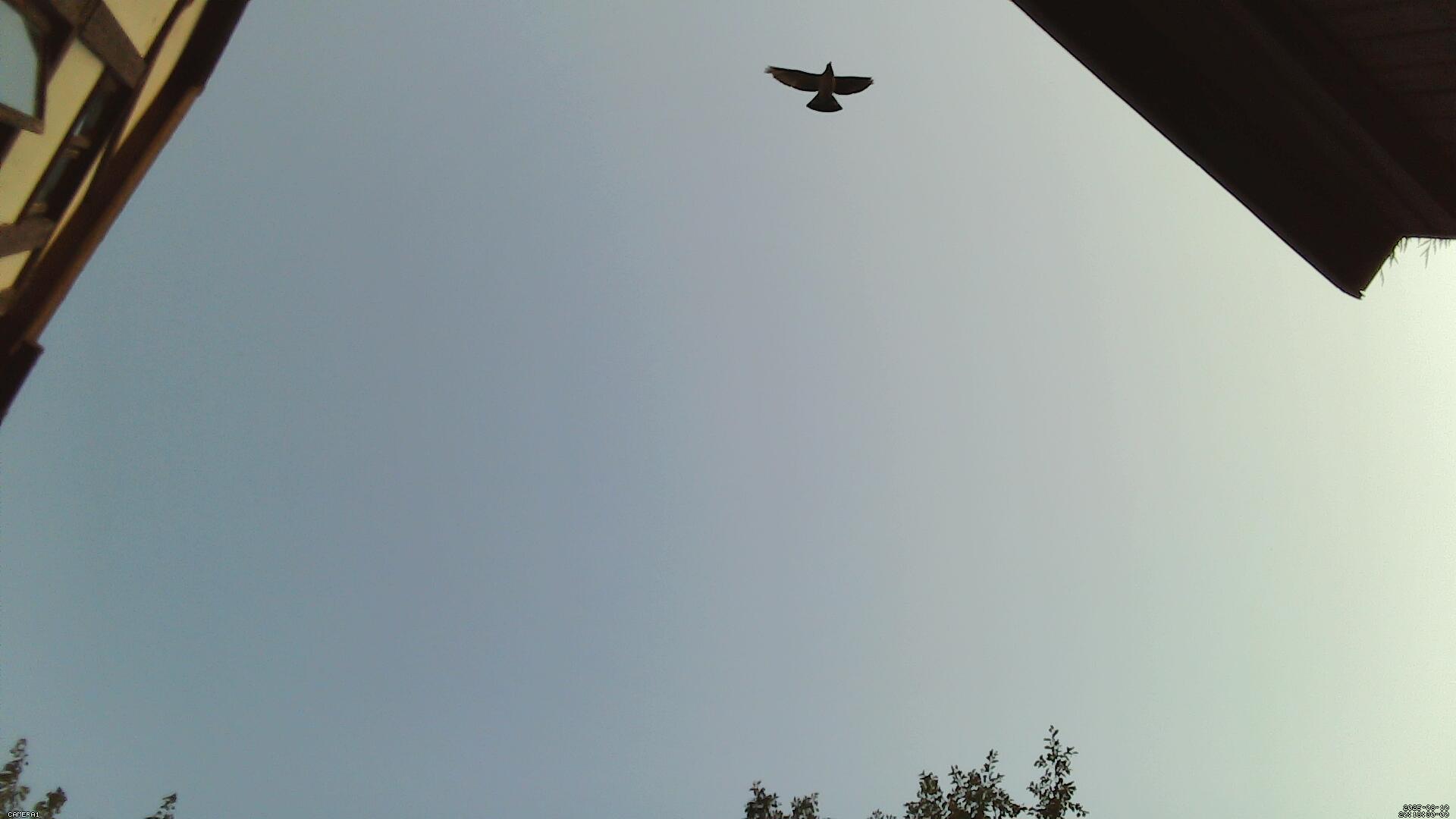 Sky photo 255