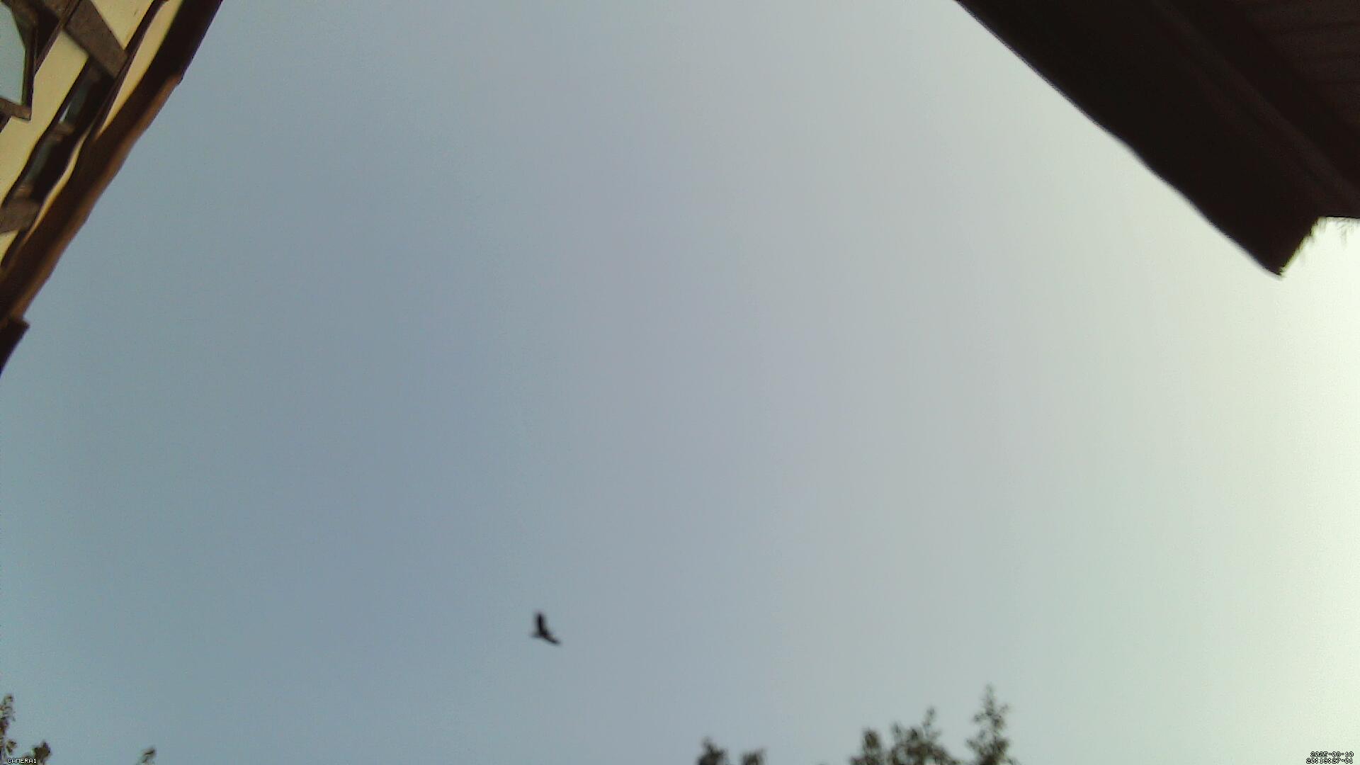 Sky photo 253