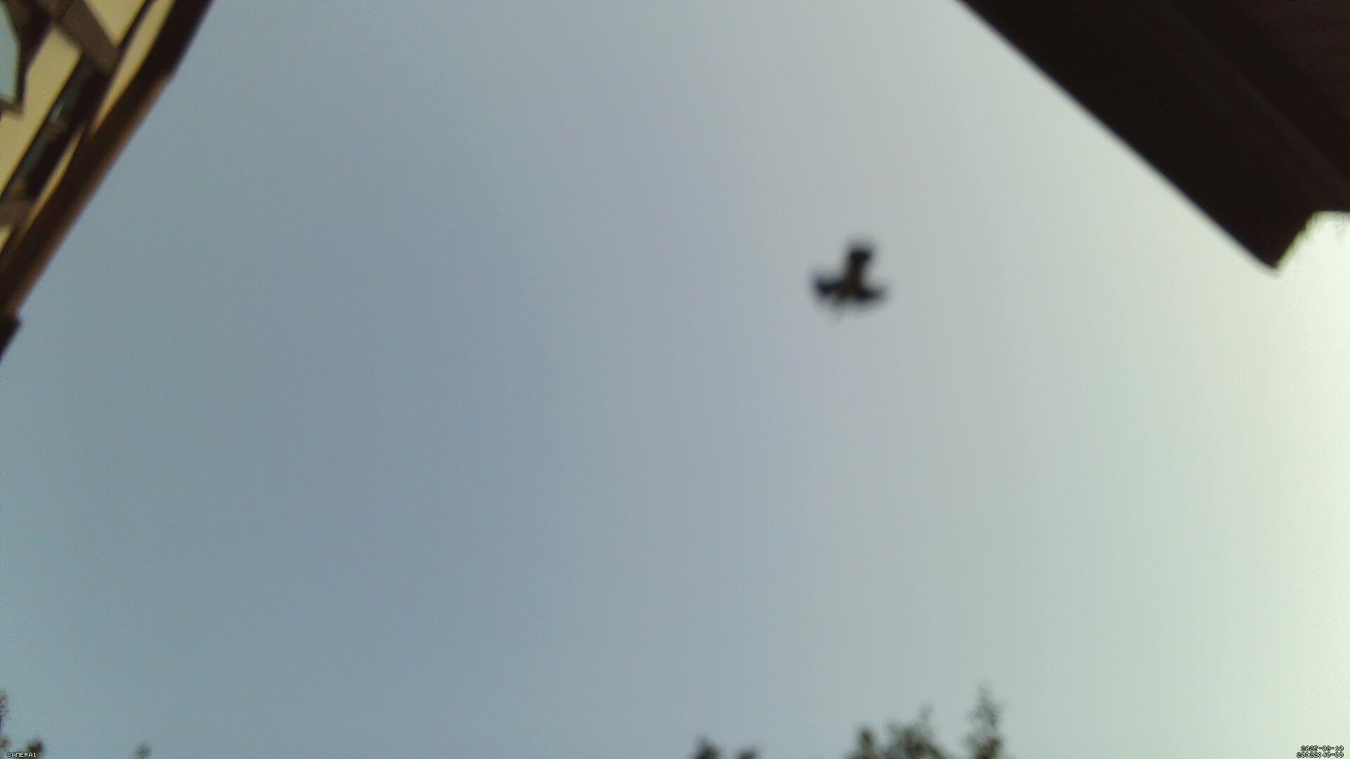Sky photo 251