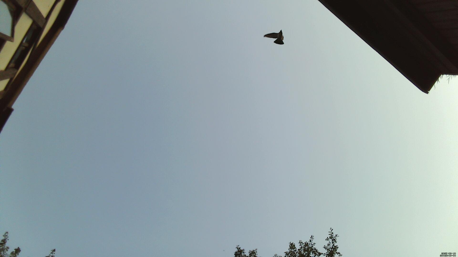 Sky photo 248