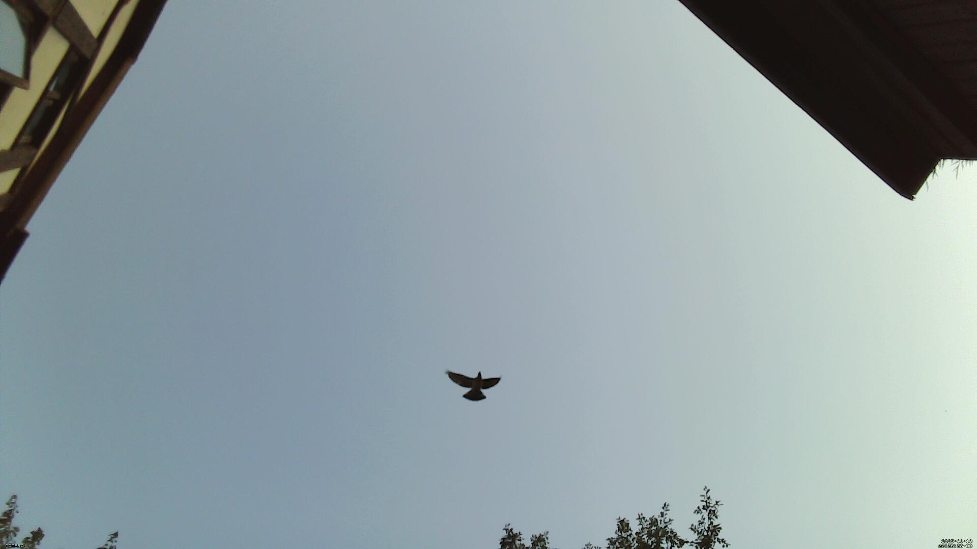 Sky photo 247