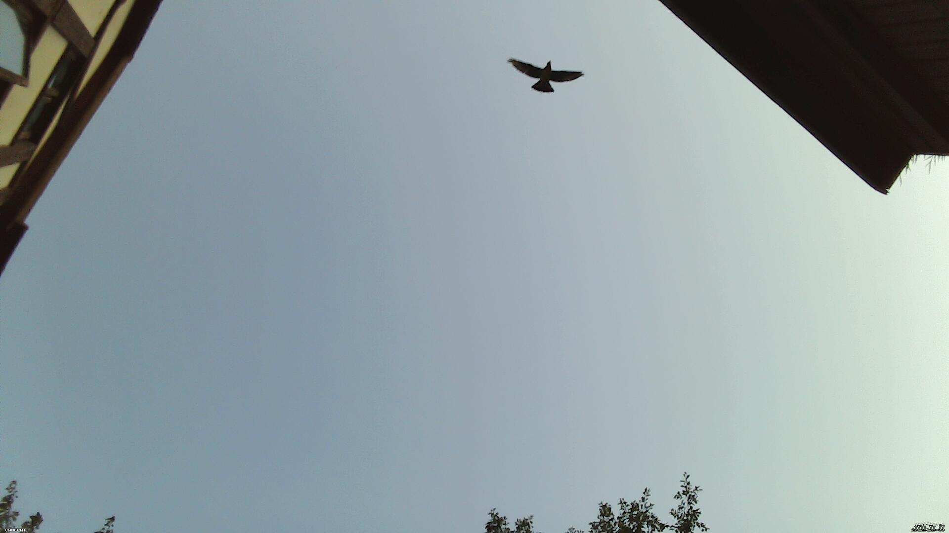 Sky photo 246