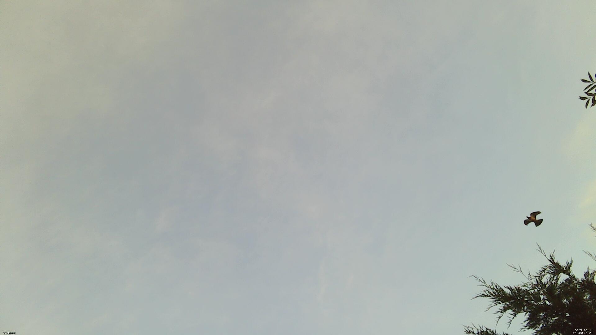 Sky photo 220