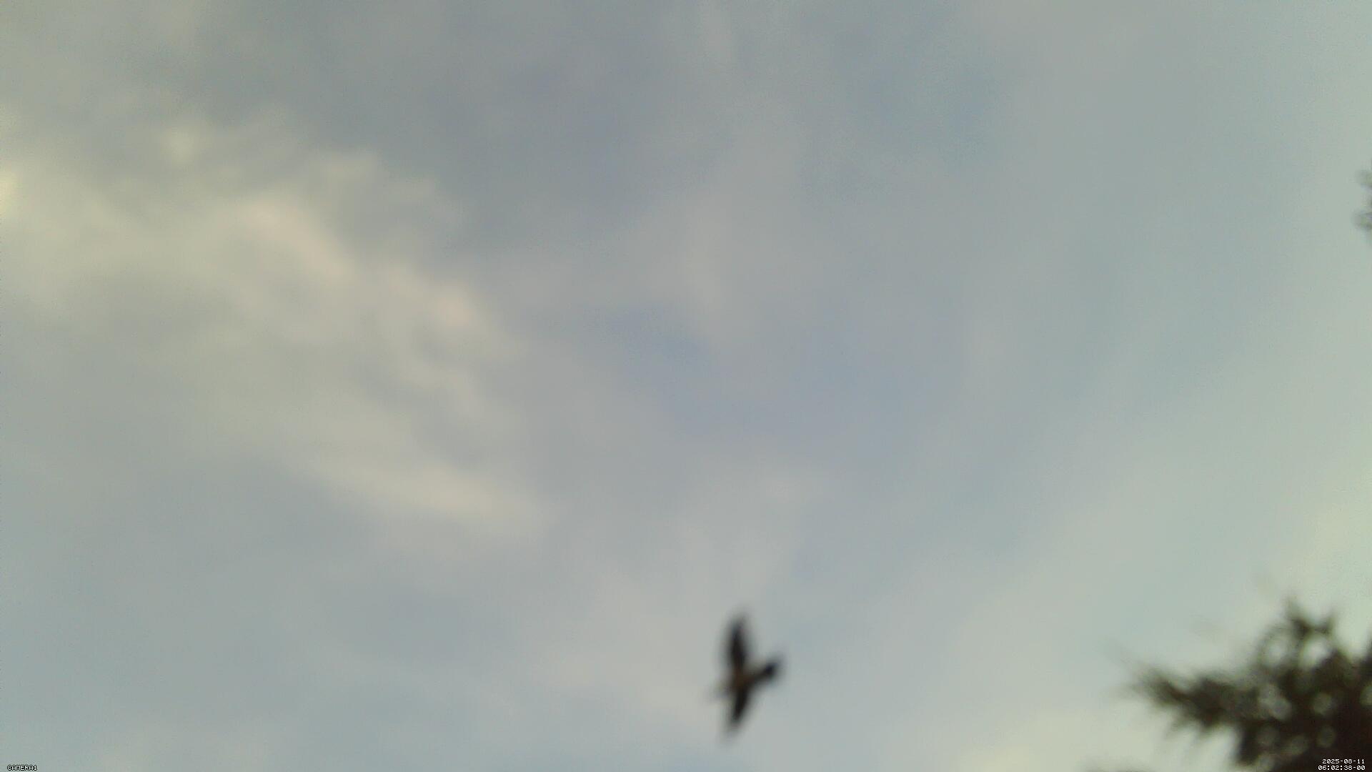 Sky photo 219