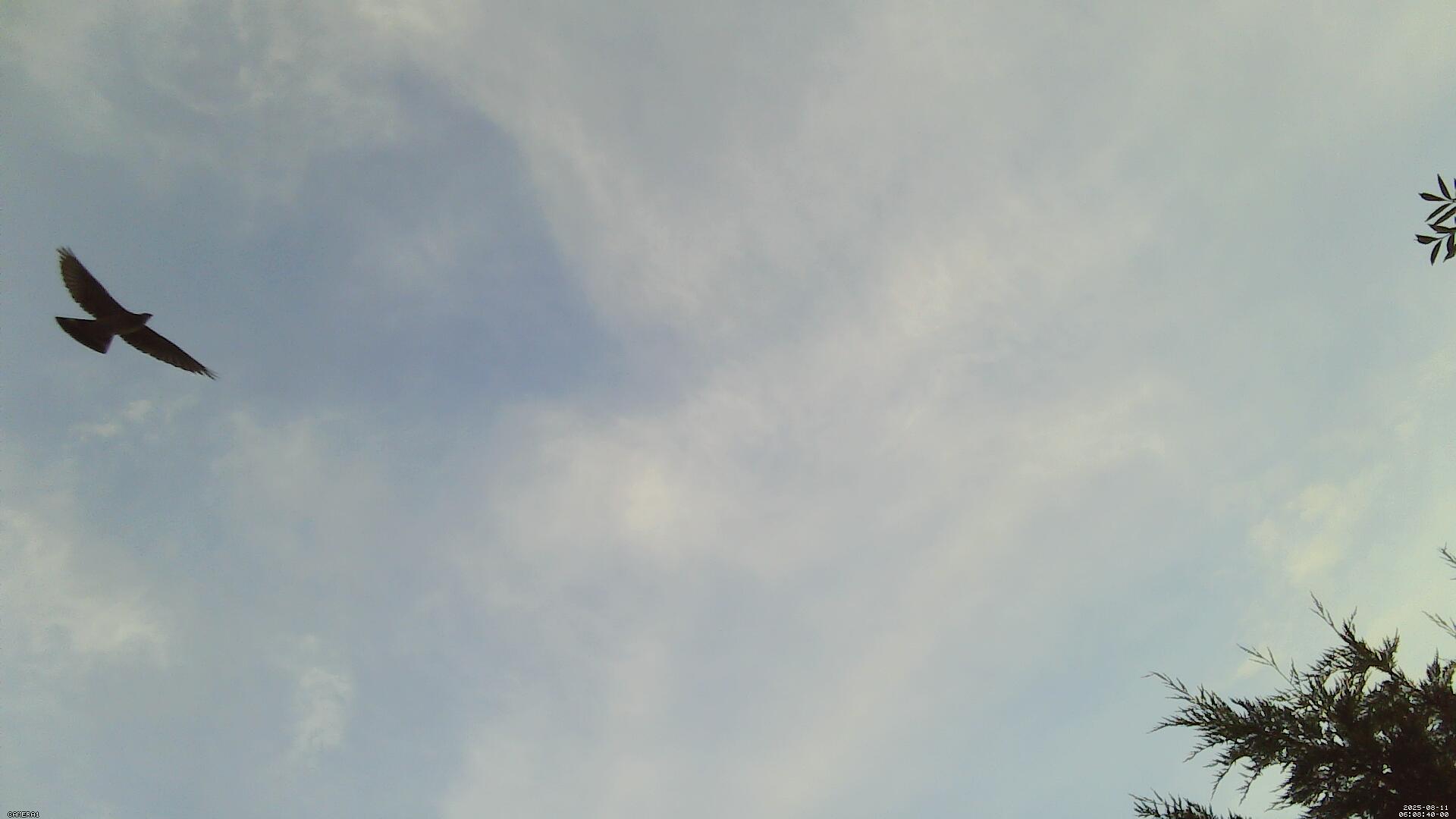 Sky photo 218