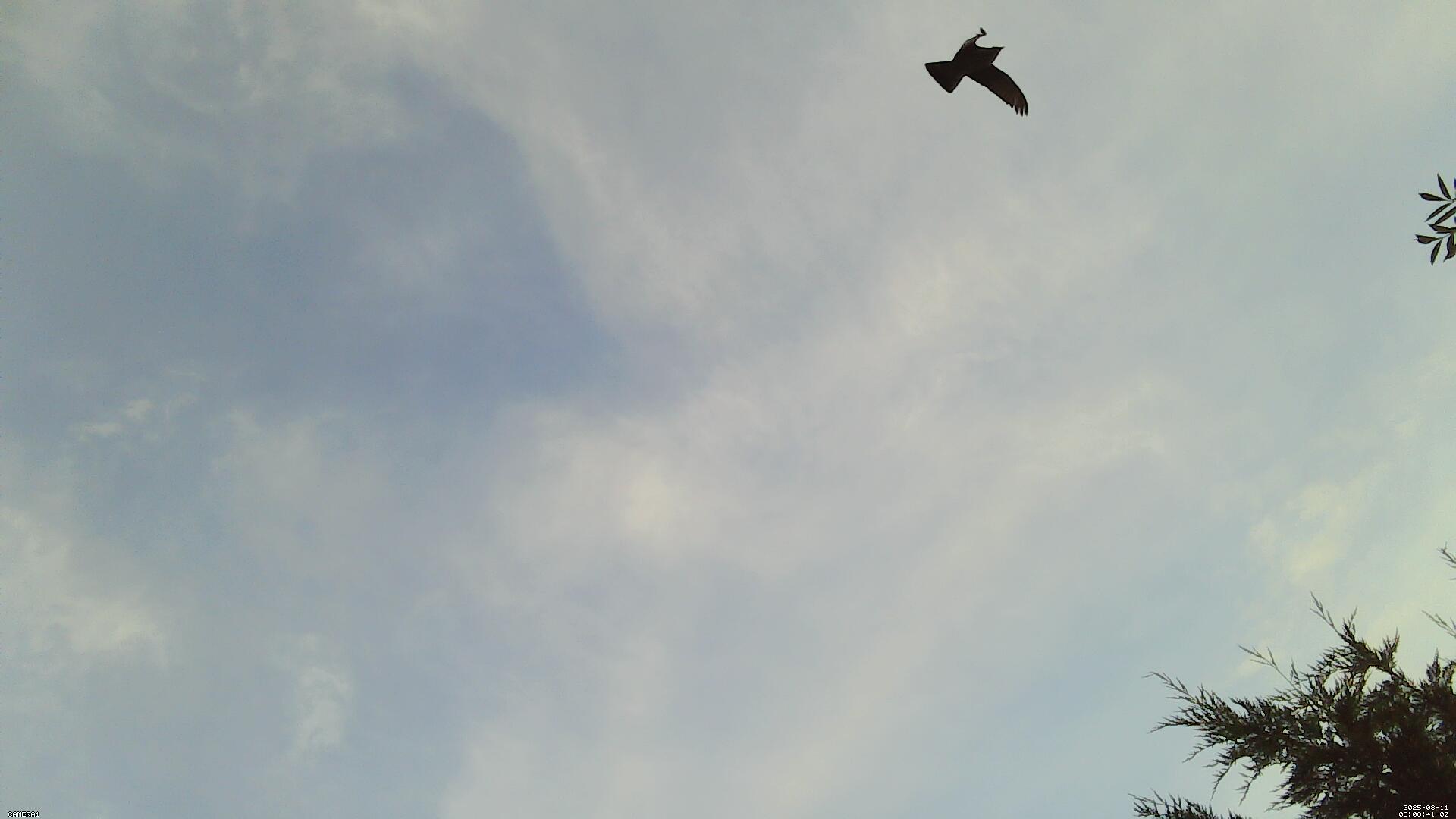 Sky photo 217