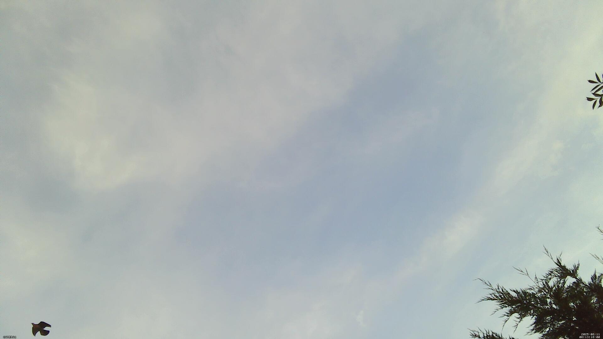 Sky photo 216