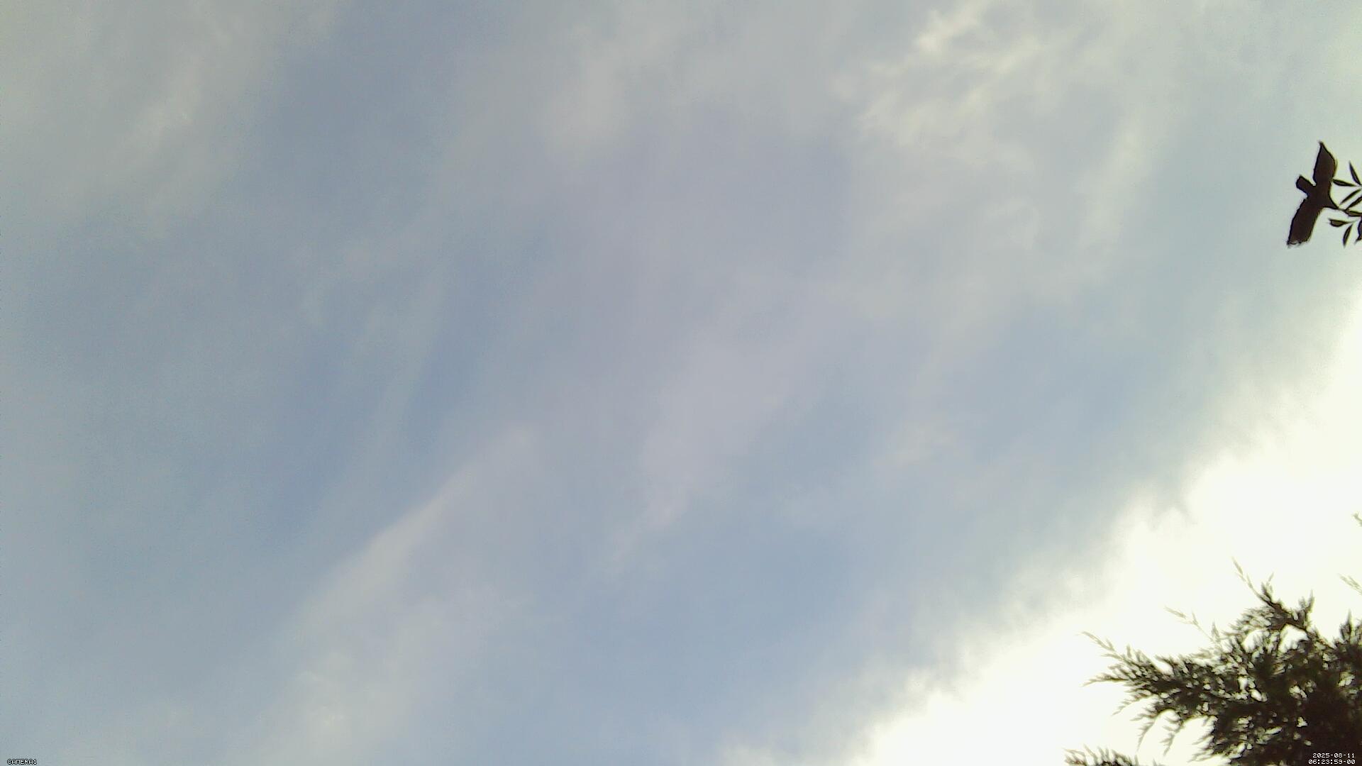 Sky photo 215