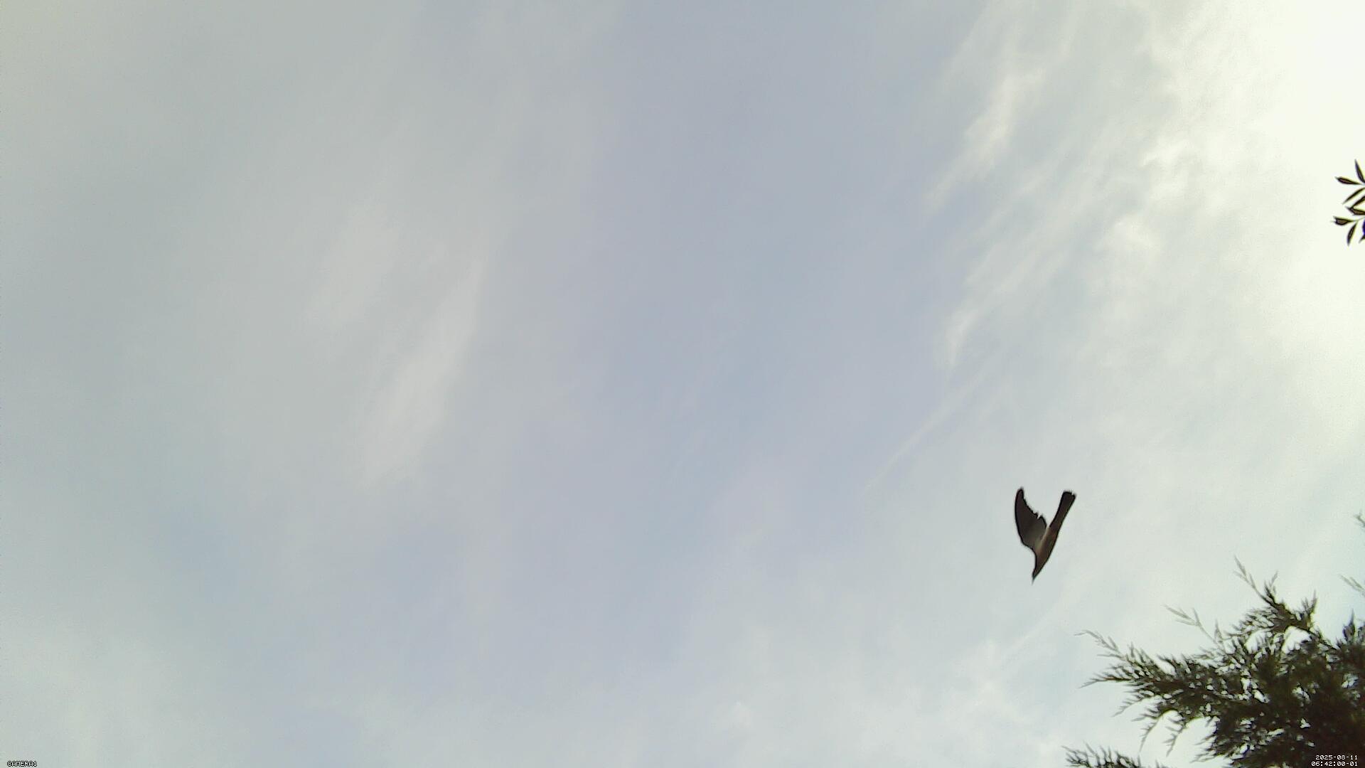 Sky photo 214