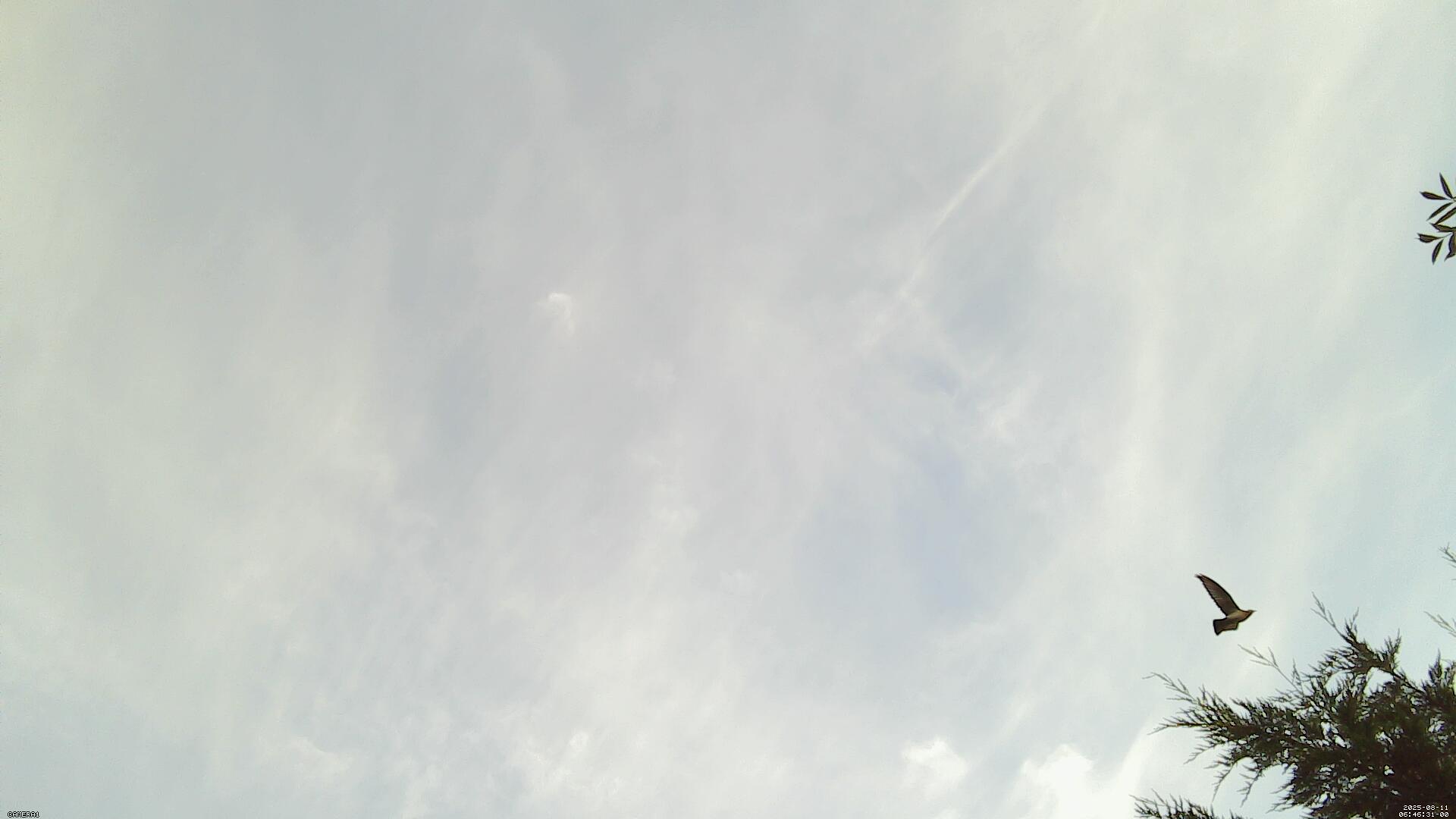 Sky photo 213