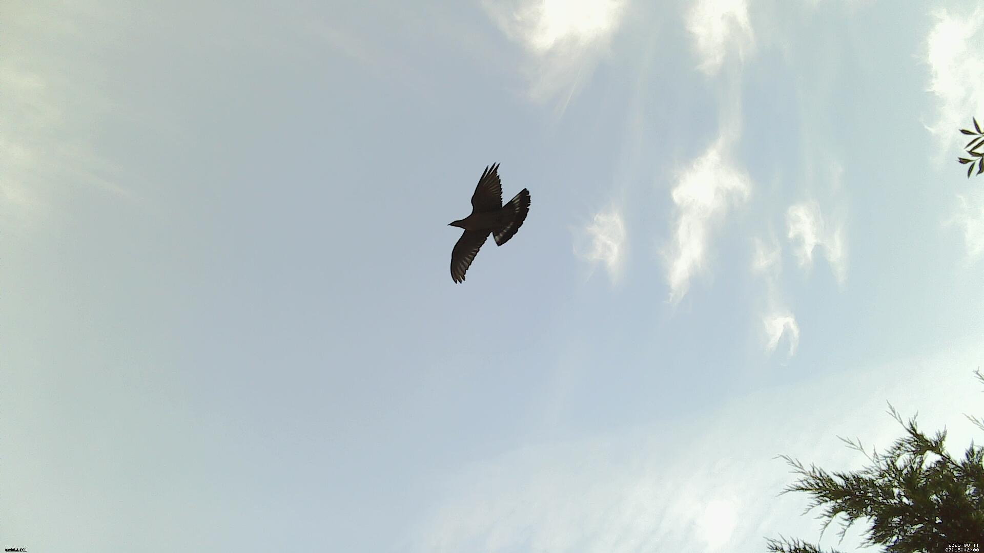 Sky photo 212