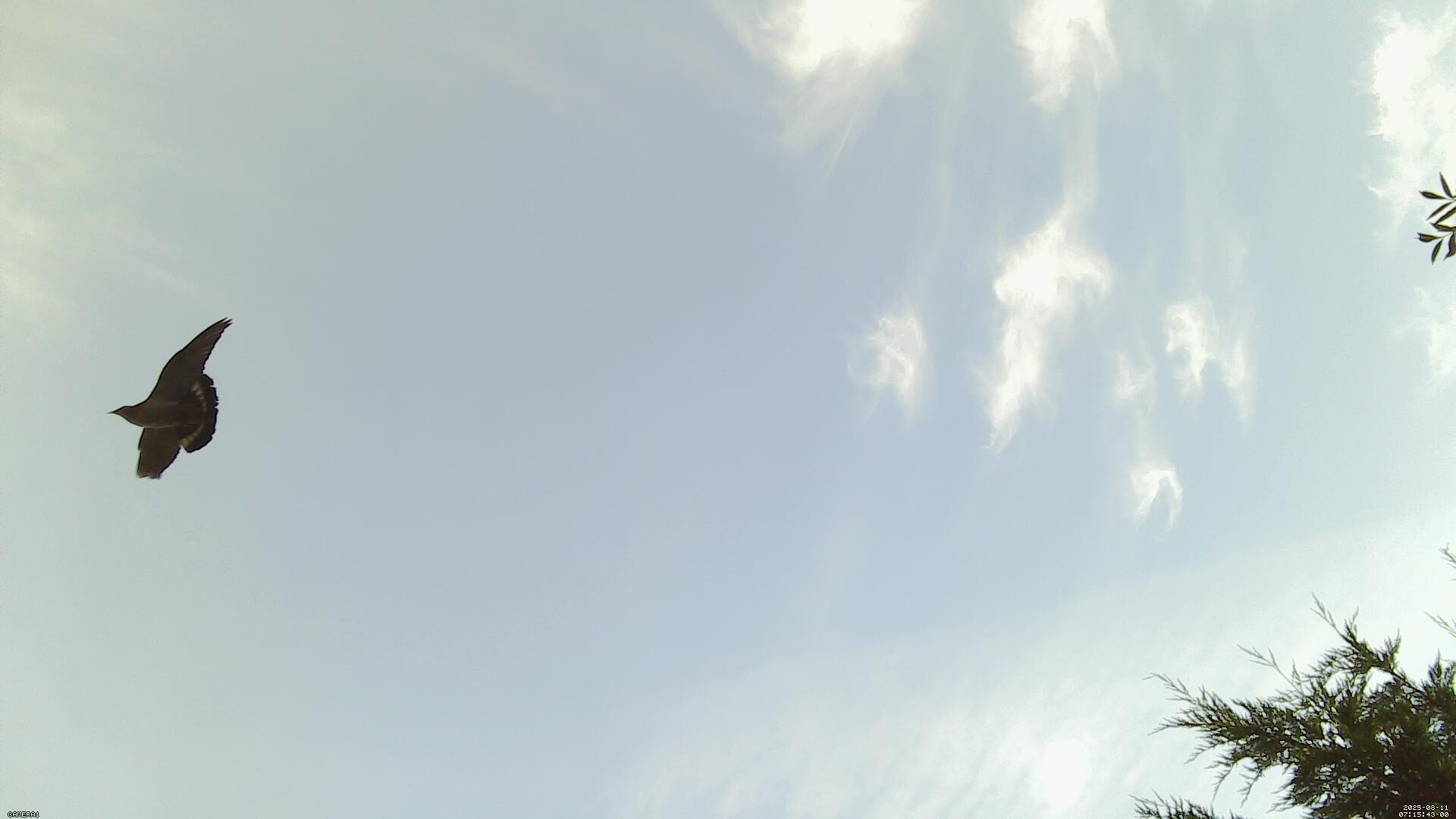 Sky photo 211