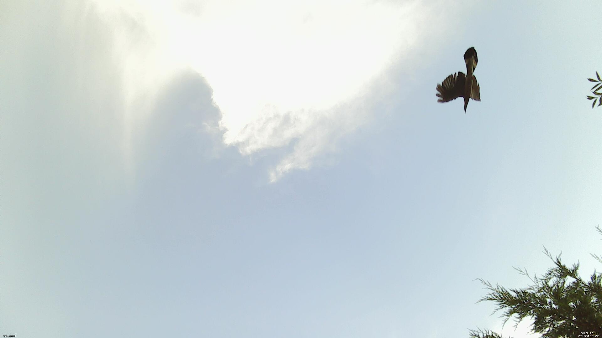 Sky photo 210