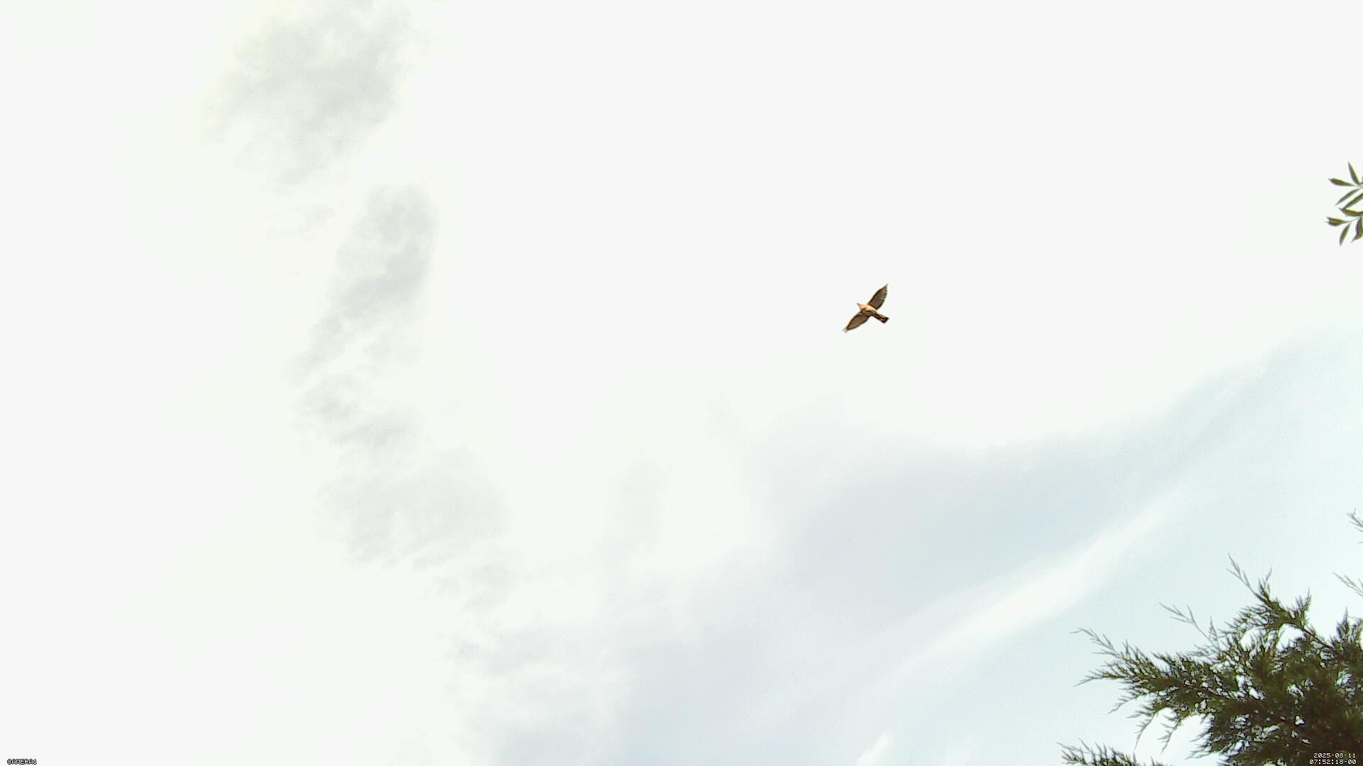 Sky photo 209