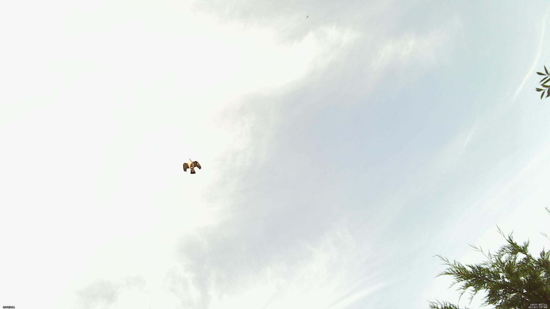 Sky photo 208
