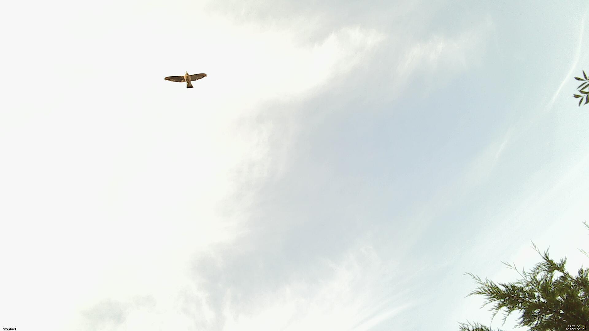 Sky photo 207
