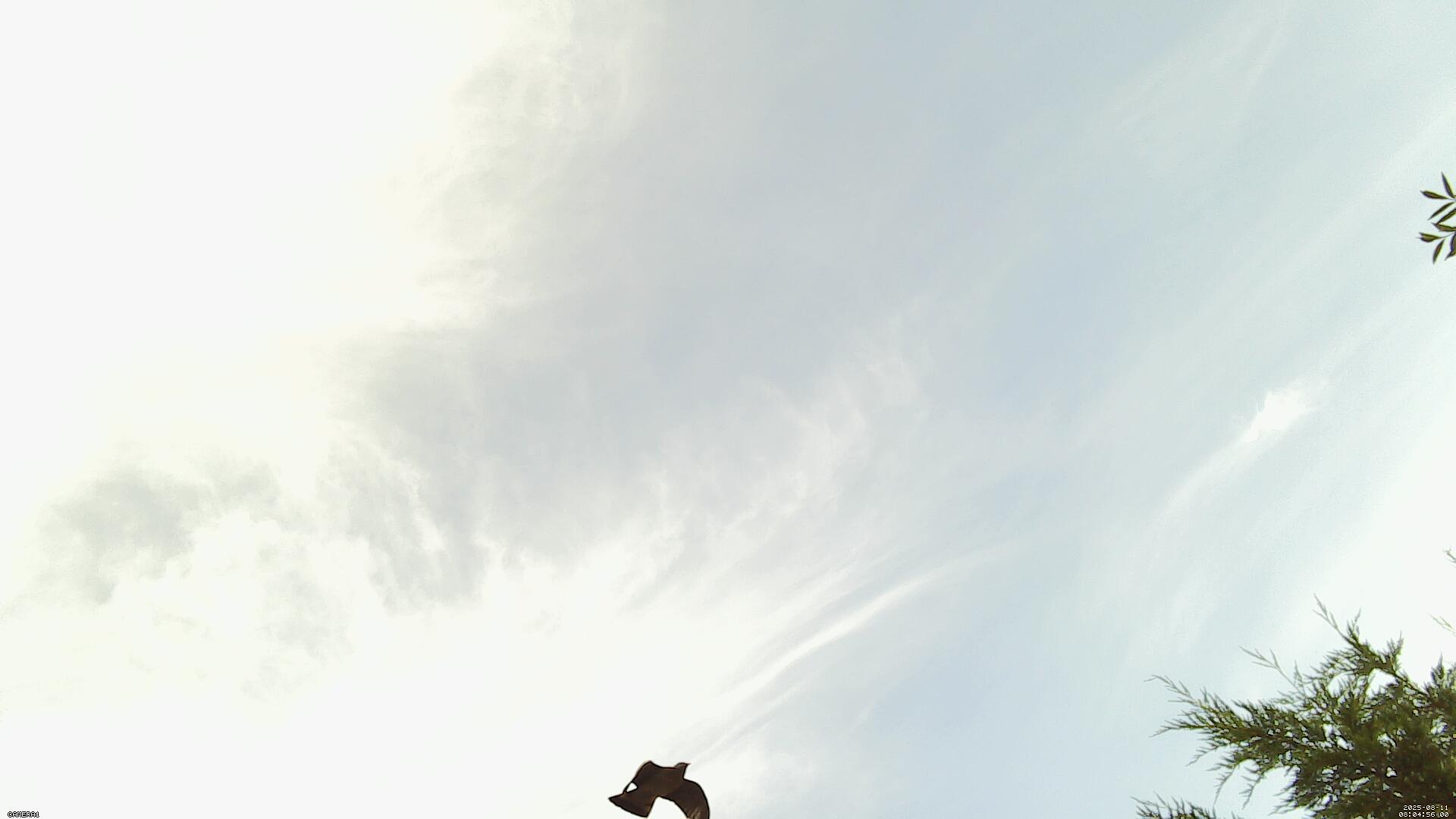 Sky photo 206