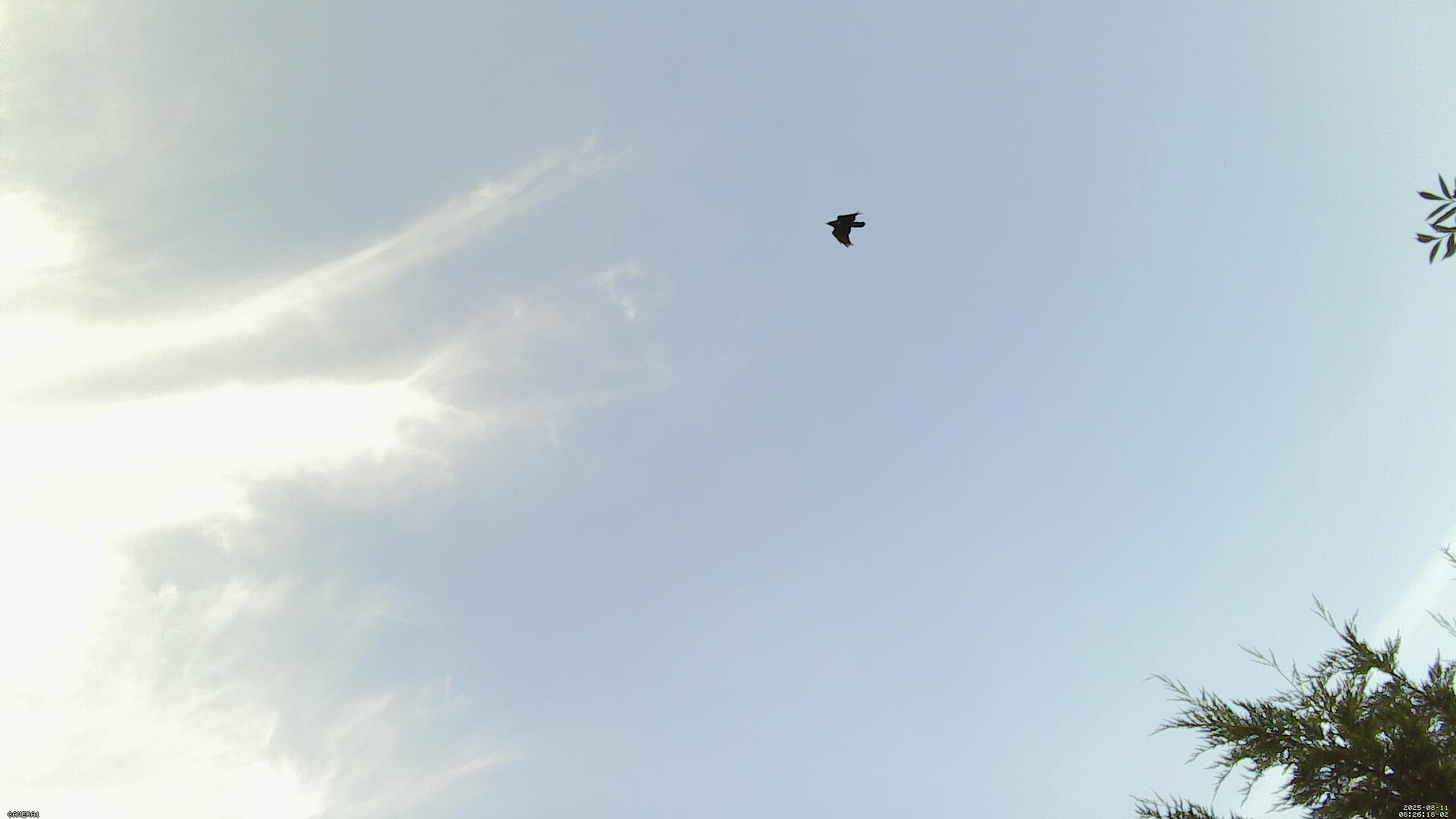 Sky photo 205