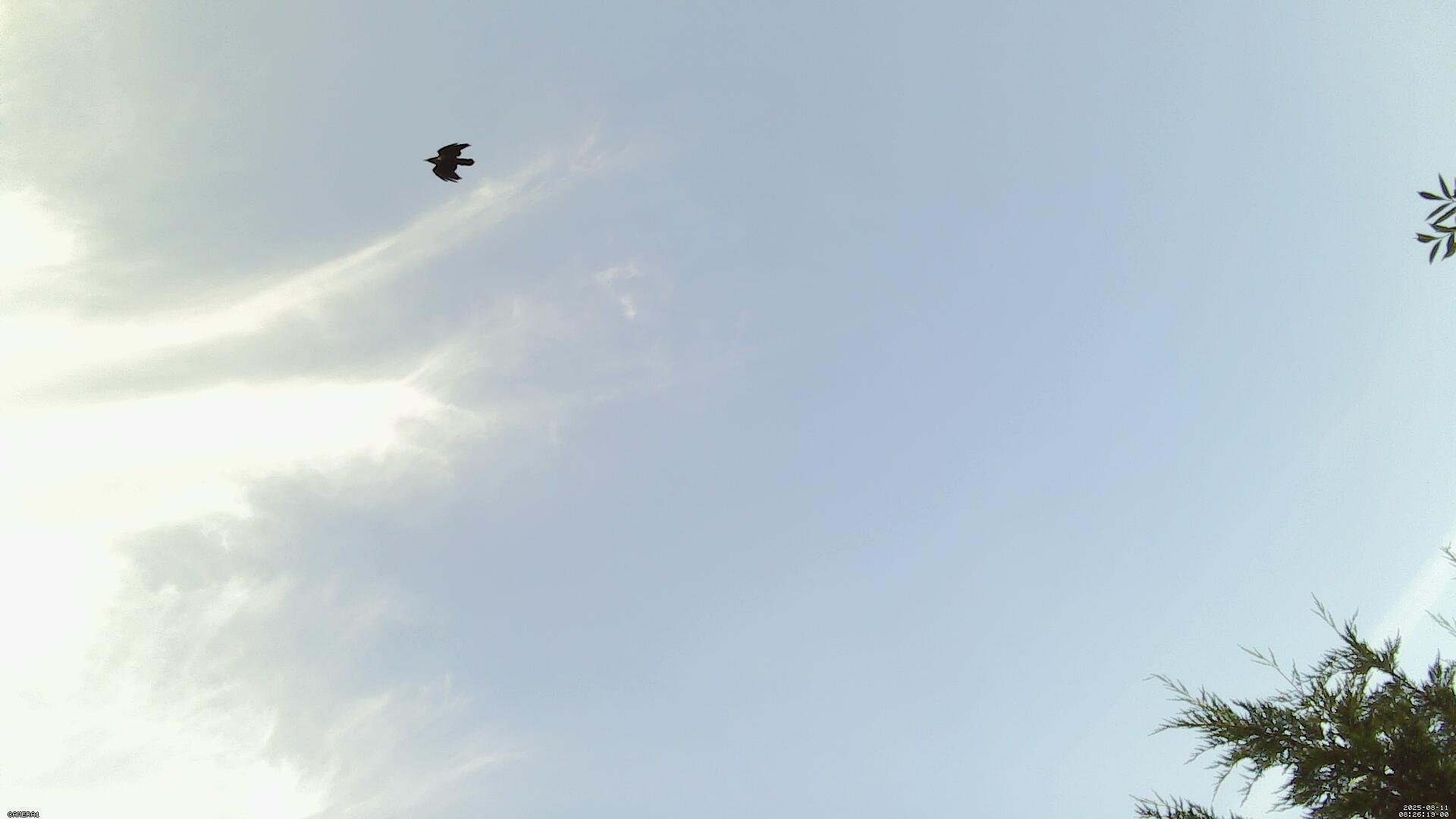 Sky photo 204