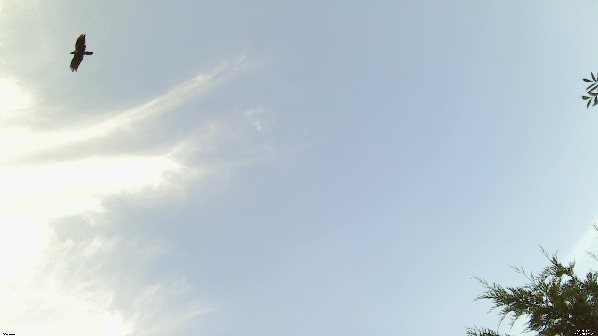 Sky photo 203