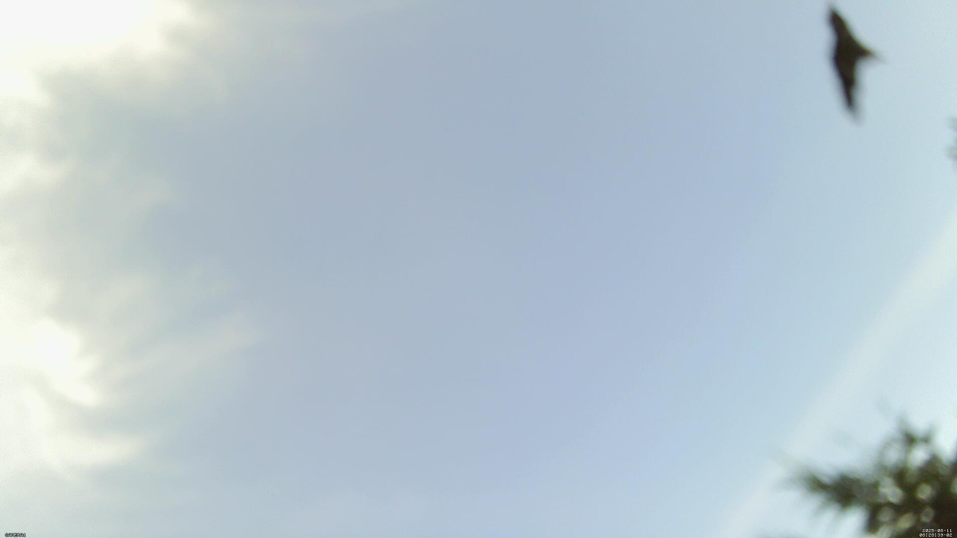 Sky photo 202