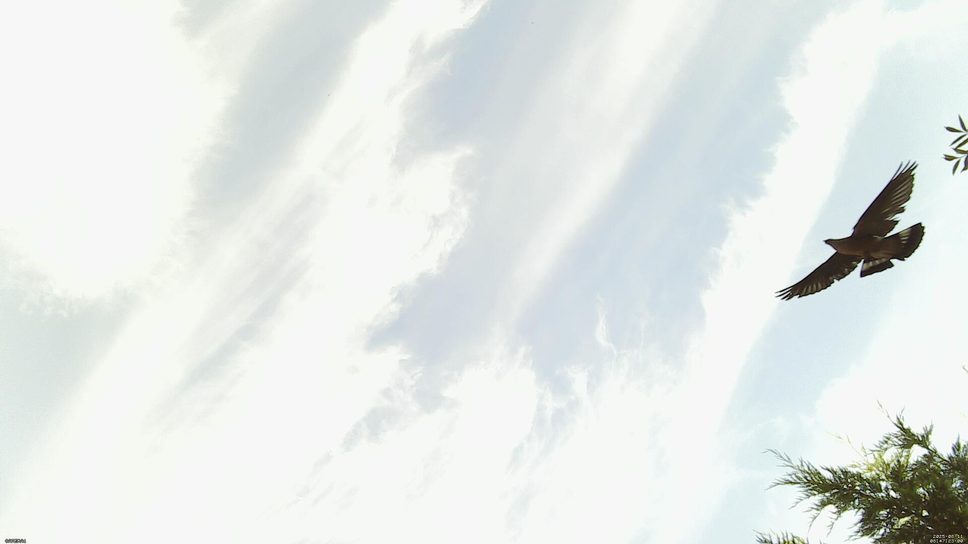 Sky photo 201