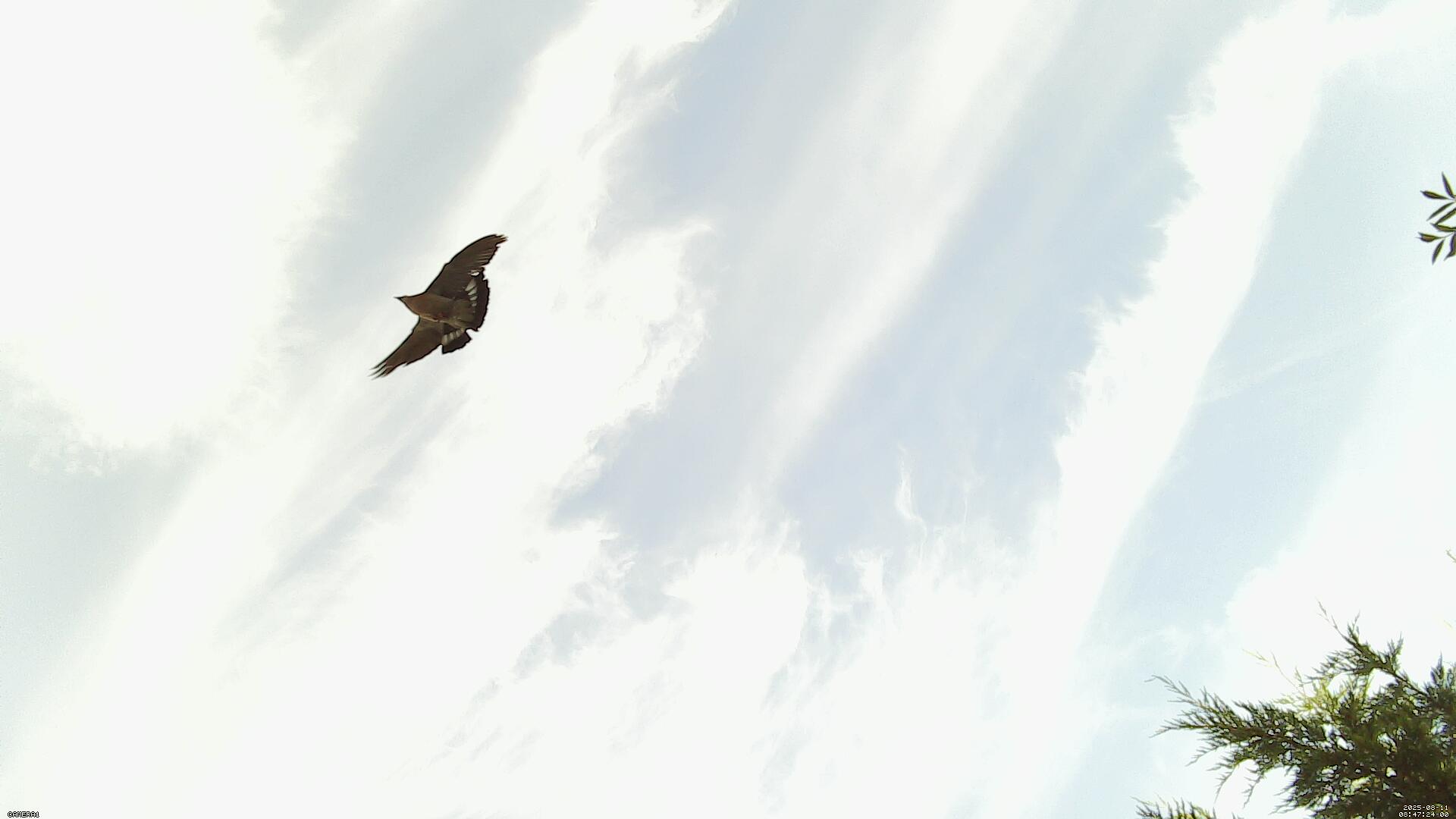 Sky photo 200
