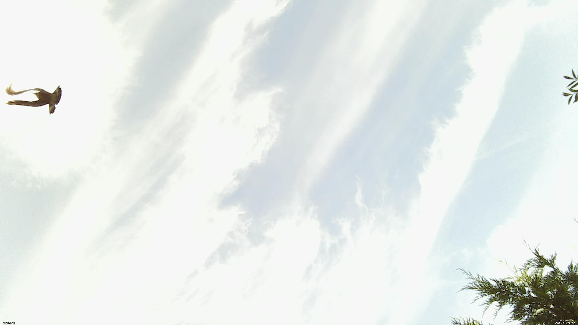 Sky photo 199