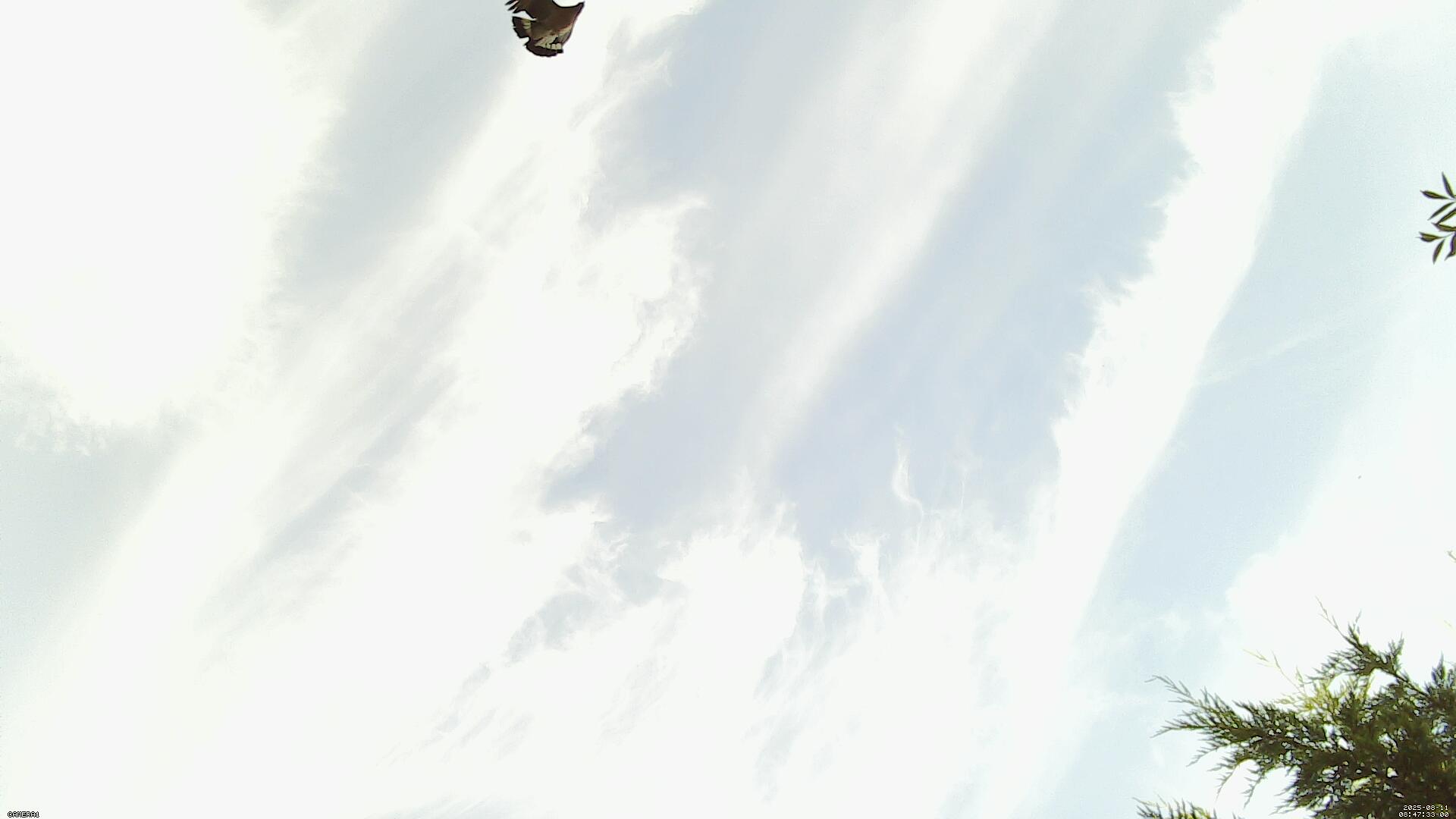 Sky photo 197