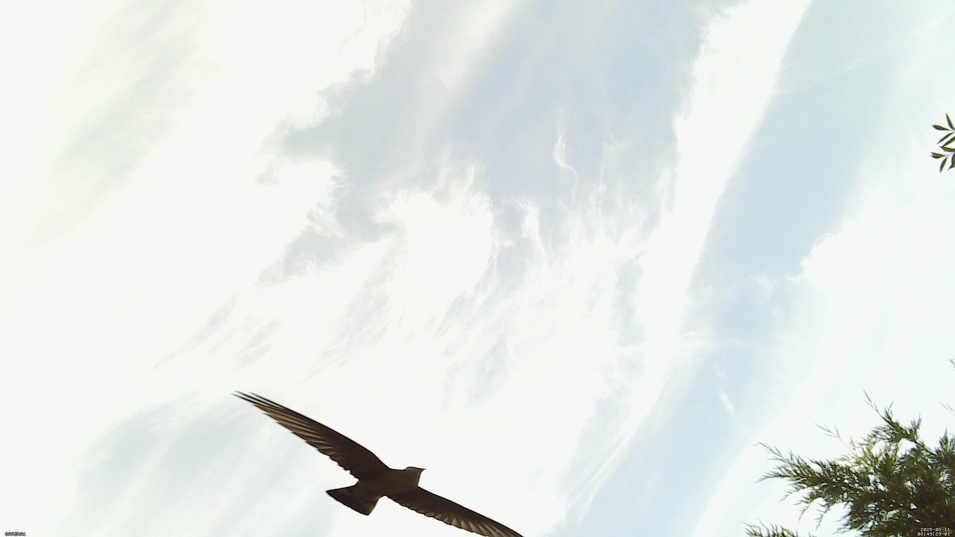 Sky photo 193