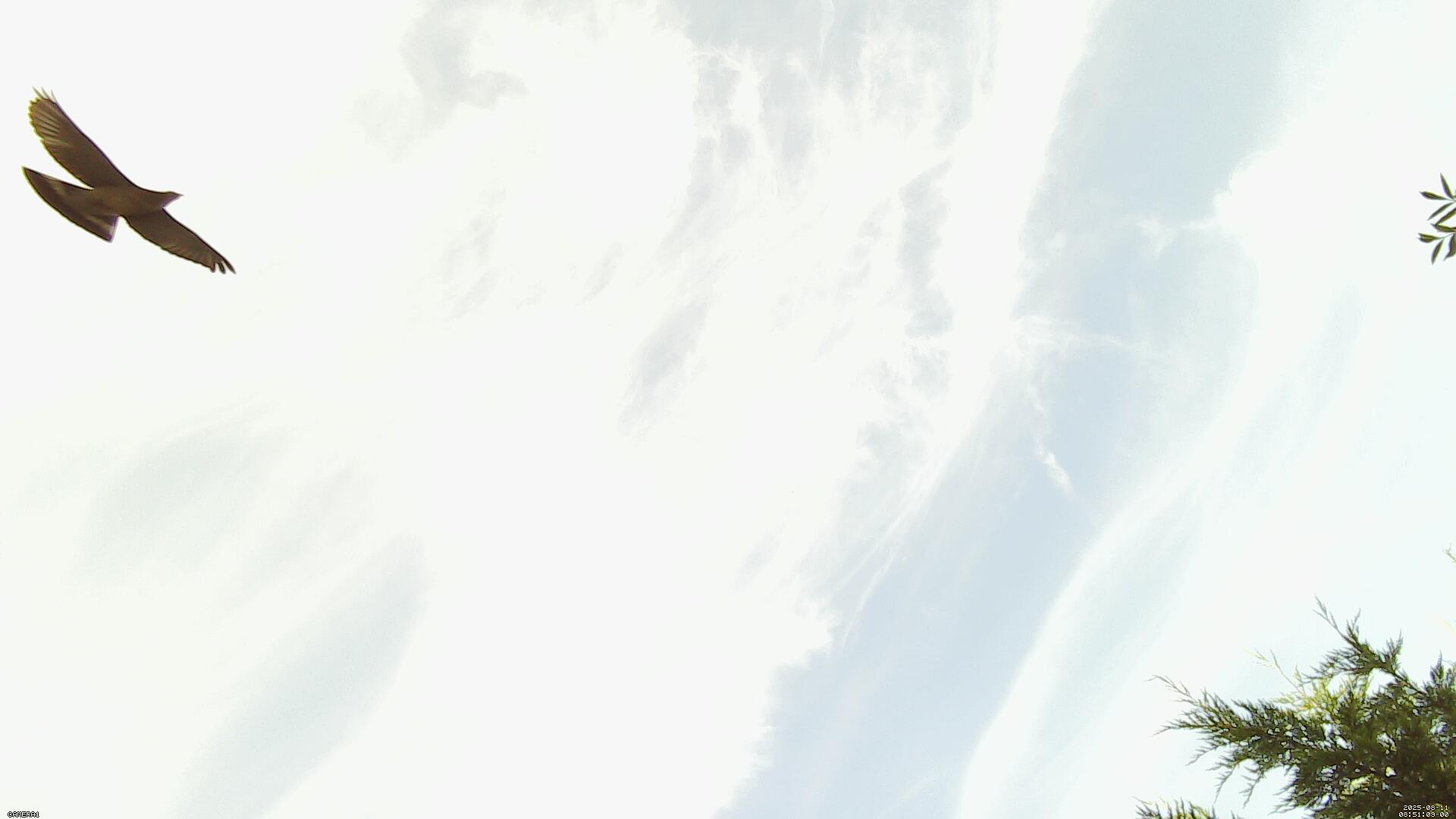 Sky photo 191