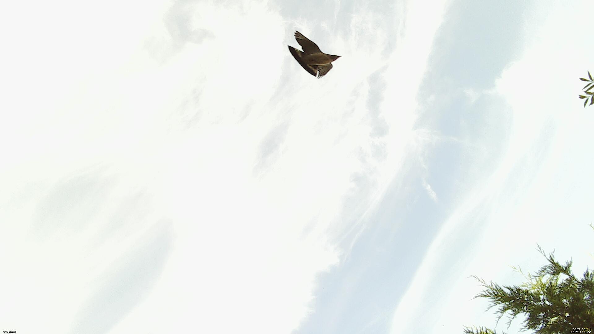 Sky photo 190