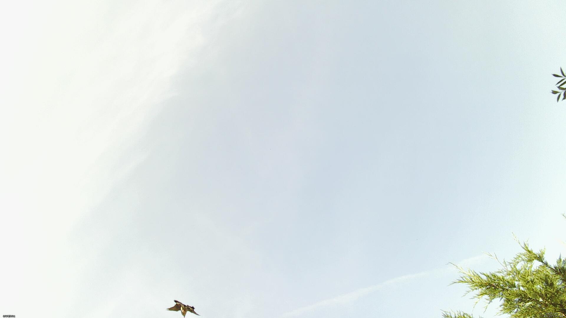 Sky photo 189