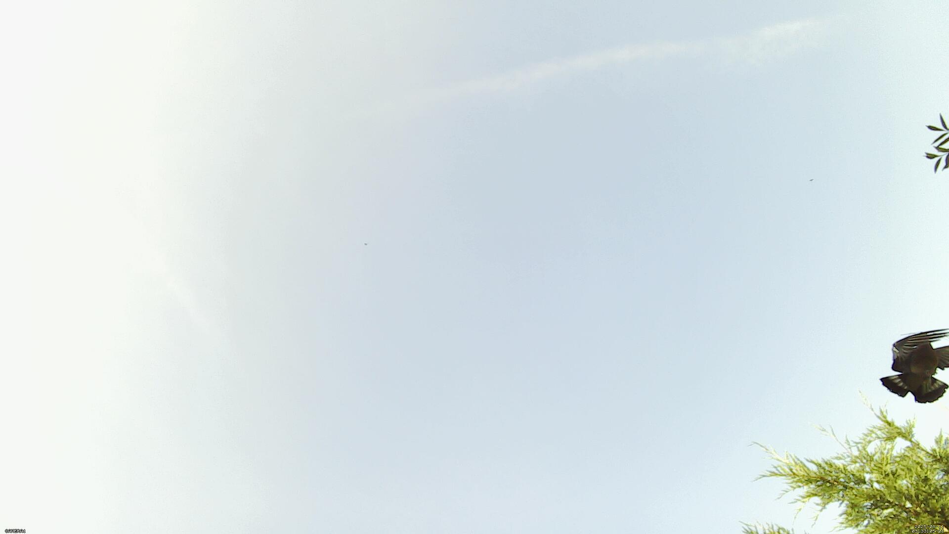 Sky photo 186